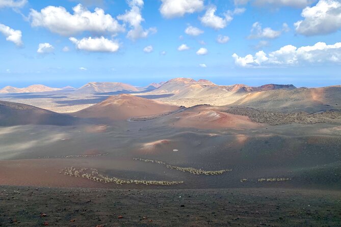 Timanfaya National Park Morning Tour - Knowledgeable Live Guide Insights