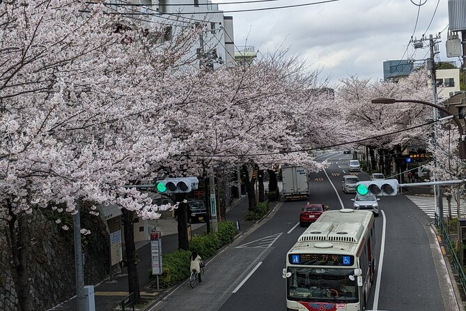 Tokyo Experience Food & Cycling Local Life Tour - Meeting and Pickup Information