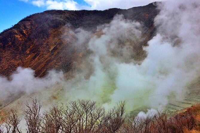 Tokyo: Hakone, Owakudani & Gotemba Premium Outlet 1DAY Bus Tour - Accessibility and Participation