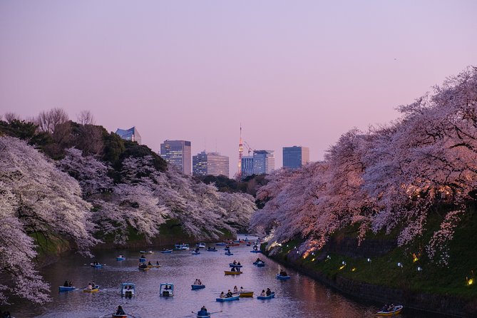 Tokyo Half-day Customized Private Tour - Accessibility