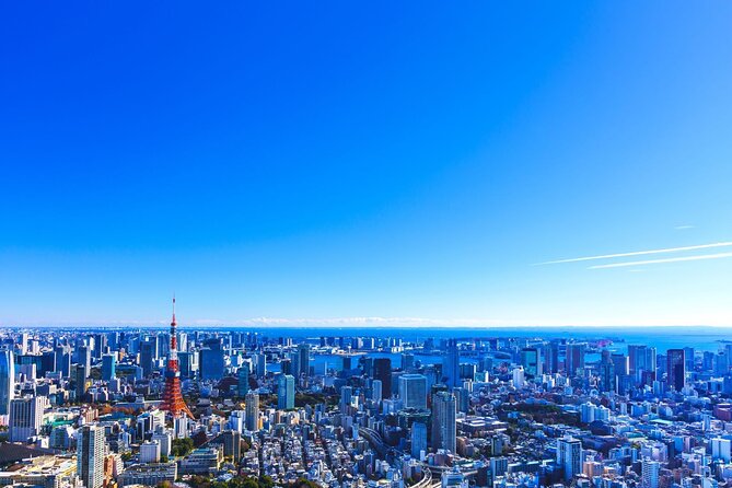 Tokyo Helicopter Cruising - Aircraft and Capacity