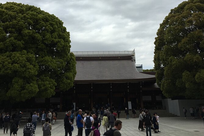 Tokyo Highlights Food and Culture - Immerse in the Serenity of a Japanese Garden