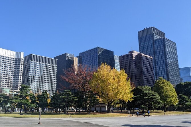 Tokyo Imperial Palace Higashi Gyoen Wellness Tour With Lunch - Accessibility and Participation