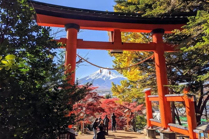 Tokyo: Instagram-Worthy Mt Fuji & Lake Kawaguchiko Day Trip - Tour Experiences and Feedback