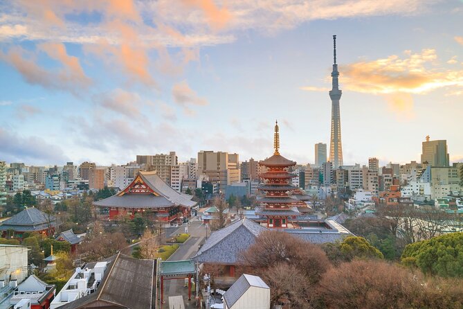Tokyo Morning Small Group Tour - Booking Options