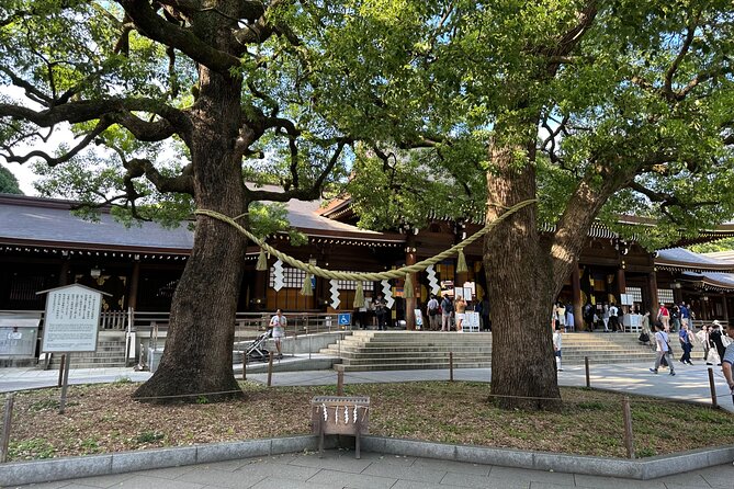 Tokyo Morning Tour: Asakusa, Meiji Shrine and Tsukiji Fish Market - Experiencing the Tsukiji Fish Market