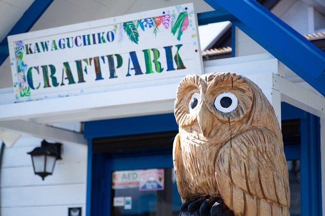 Tokyo: Mt.Fuji 5th Station, Fuji Area & Kawaguchiko 1Day Tour - Tour Conditions and Recommendations