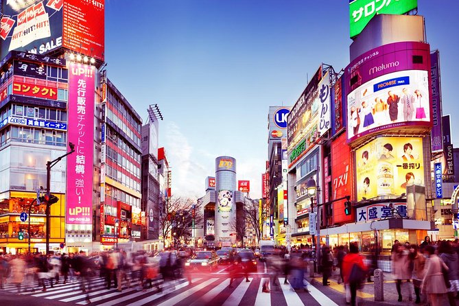 Tokyo Private Transfer From Narita Airport to Central Tokyo - Meeting and Pickup Information