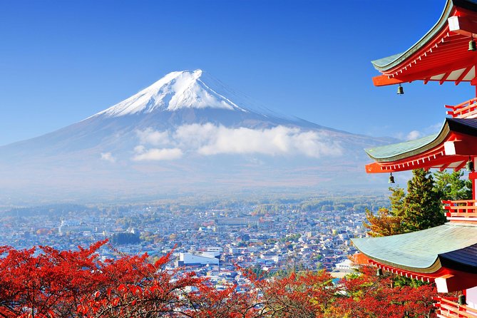 Tokyo to Hakone | Private and Personalized Day Trip With a Local - Enjoying the Flexibility of a Private Tour