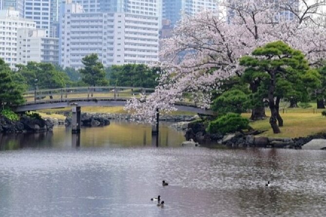 Tokyo Tsukiji & Hamarikyu Gardens Wellness Tour – Walk and Relax - Wellness Benefits of the Tour