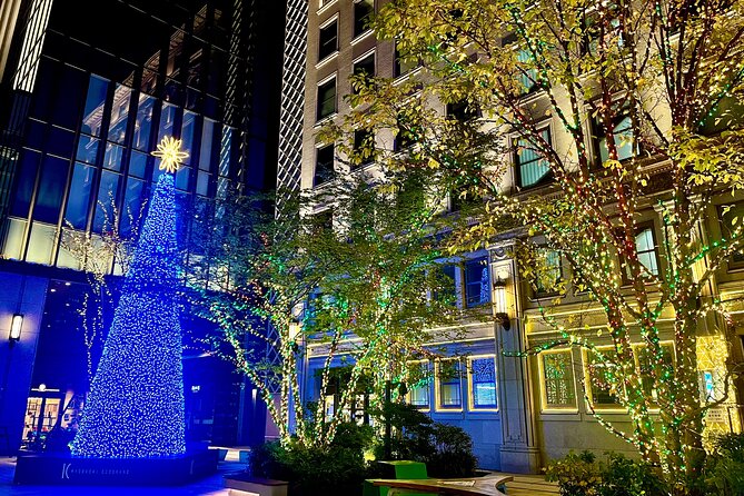 Tokyo Winter Illumination Ebike Tour - Exploring the Sparkling Lights of Tokyo