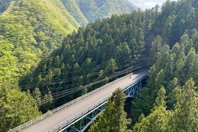 Tokyos Hidden Nature Cycling Tour - Okutama Historical Road Tour - Inclusions