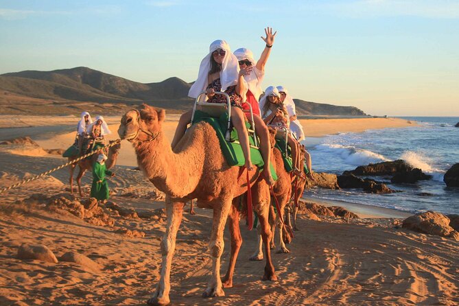 Tour 2x1: Arch + Camels + Mexican Lunch + Pick Up! - Transportation Options Available