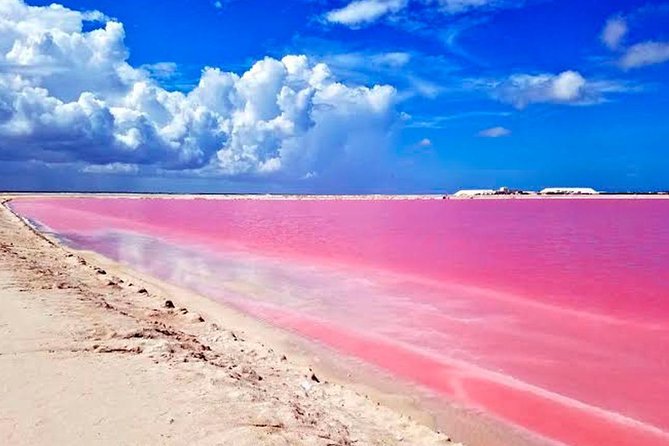 Tour Las Coloradas & Rio Lagartos Only From Tulum - Transportation Information