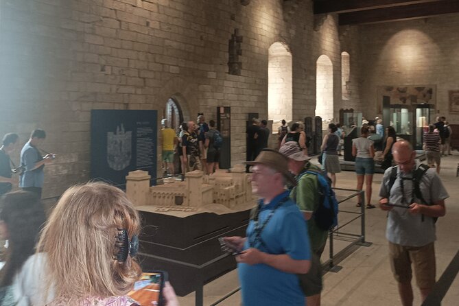 Tour to Avignon, Orange and Pont Du Gard - Accessibility and Participation
