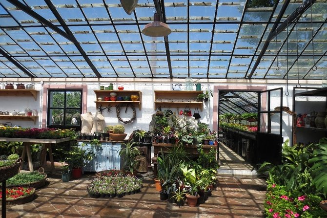 Tour to Gardenia Shevardnadze Flea Market and Tbilisi Old Town - Inclusions and Exclusions