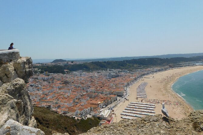 Tour Transfer From Lisbon Porto and Porto Lisbon - Pricing Details