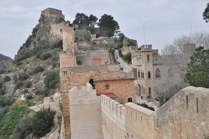 Touristic Highlights of Xàtiva on a Private Half Day Tour With a Local - Visit the Fascinating Palm Tree Grove