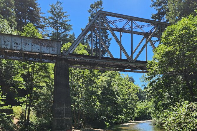 Train Ride Adventure Through Mother Natures Giant Redwoods Park - Indulging in a Delightful Lunch