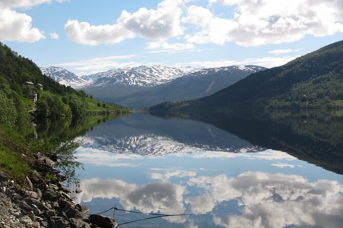 TRANSFER, LUXURY VAN 1-7 PAX: Bergen – Ulvik - Additional Details