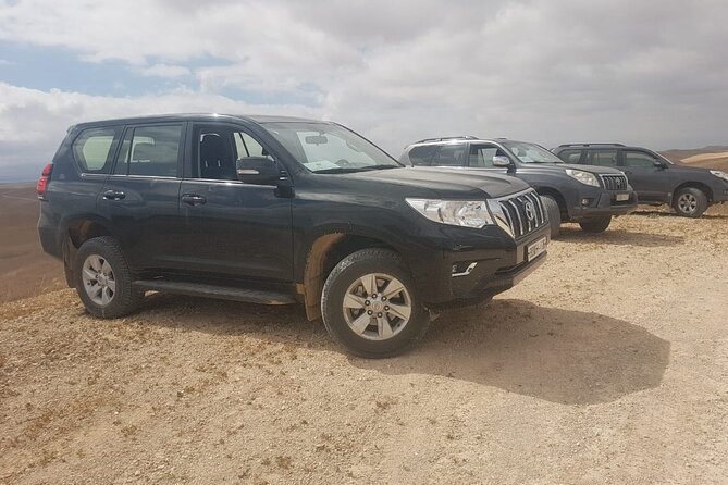 Transfers Marrakech to Essaouira or Essaouira to Marrakech - Customer Experiences and Reviews
