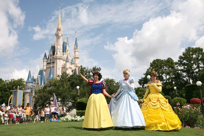 Transport to Orlando Theme Parks - Accessibility Features