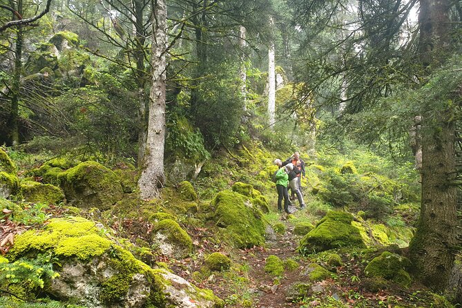 Trekking Tour in Asopos Canyon Thermopiles and Kamena Vourla - Visiting Thermopiles