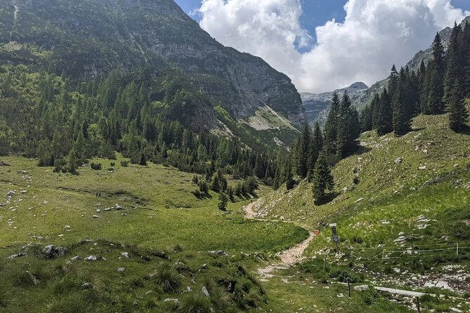 Triglav Viewpoint Hike With Pickup - Participation Guidelines