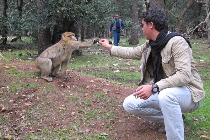 Trip To Sahara Days 3 / 2 Nights From Fez To Marrakech ( Luxury ) - Included Meals and Dining