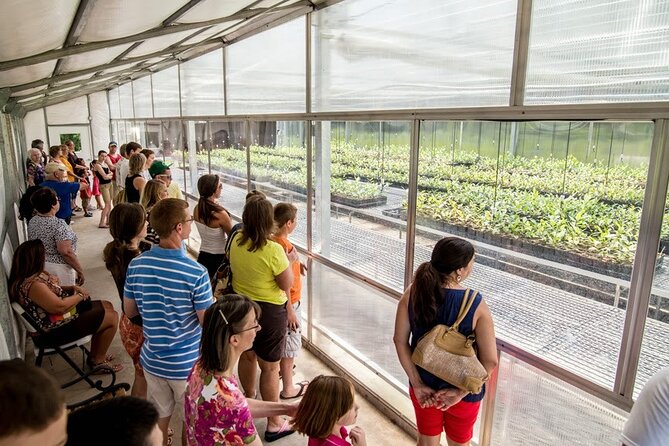 Trolley Tour in Wadmalaw Island of South Carolina - Pricing and Booking Options