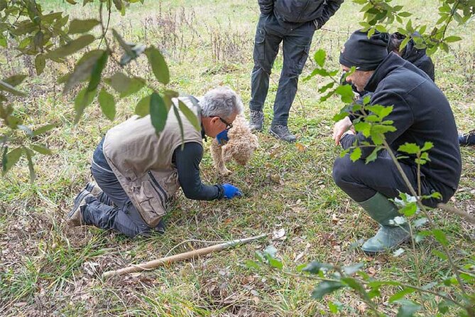 Truffle Hunting Umbria Including Truffle Breakfast - Connecting to Umbrias Culinary Traditions