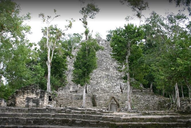 Try Express From Cancun - Pickup Information