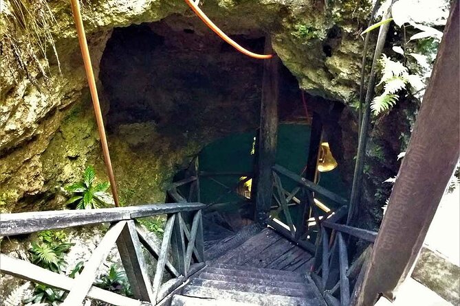Tulum, Coba, Cenote & Playa Del Carmen! Full Mayan Experience - Customer Experiences