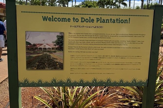 Turtle Snorkeling and Dole Plantation Tour Review - Participant Information