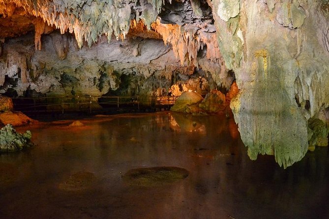 Turtles and Cenote From Riviera Maya - Inclusions and Pricing