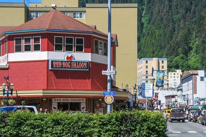 Ultimate Juneau Whale Watch - Traveler Recommendations