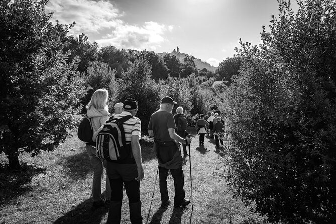 Umbria Truffle Hunting Experience With Brunch - Highlights From Previous Guests