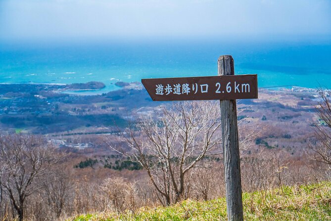 Usuzan Volcano Guided Hiking Private Tour - Health and Accessibility