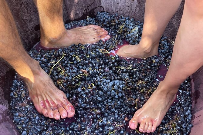 Utiel-Requena Excursion: Uncover the Flavors of Valencias Wine - Health and Accessibility Considerations