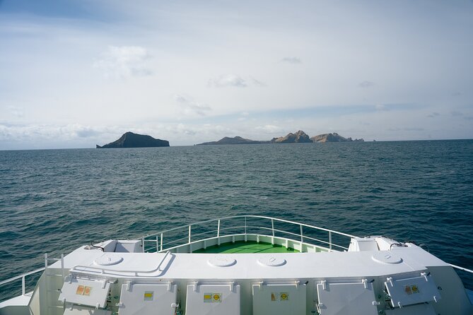 Vestmannaeyjar, Puffins & Volcanoes Small Group Day Tour - Small Group Experience