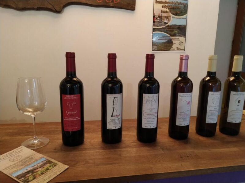 Vingrau : Wine Tasting - Tasting Experience Highlights