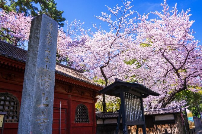 VIP Cherry Blossom Tour by Limousine With Exclusive Dinner - Exploring the Captivating Cherry Blossoms