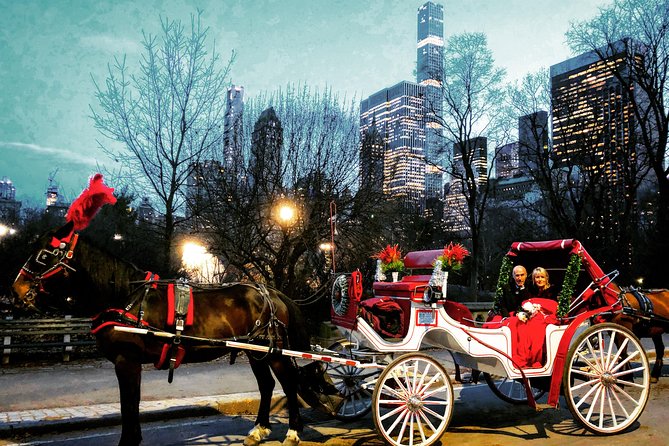 VIP Horse Carriage Ride Through Central Park (Up to 4 Adults) - Customer Reviews and Experiences