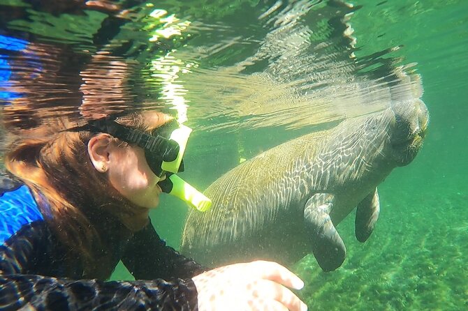 VIP Private Boat Manatee Snorkel Tour With In-Water Guide and Photograper - Customer Reviews and Feedback