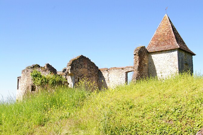 Visit of the Château Du Cros and Introduction to Tasting - Accessibility Options Available