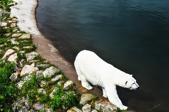 Visit Ranua Arctic Wildlife Park - Accessibility Information