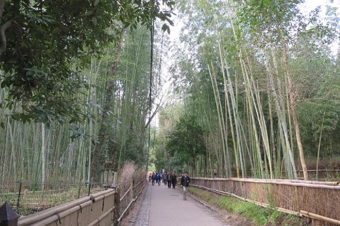 Visit the Lushan Area (On Foot, by Tram) - Maximizing Your Time in Lushan