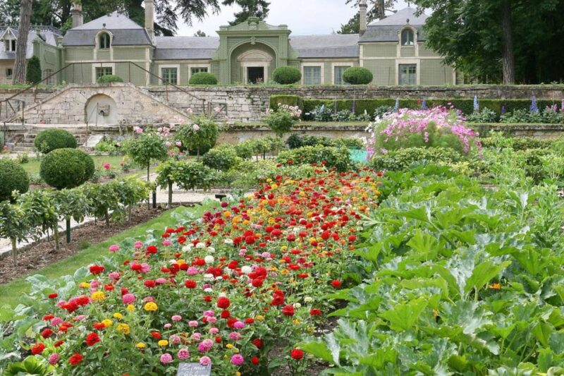 Visit the Princes Vegetable Garden - Educational and Fun Activities