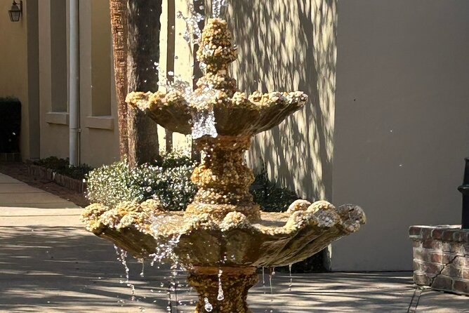 Walk Through Time With a Native on Our Charm of Charleston Tour - What to Expect During the Tour