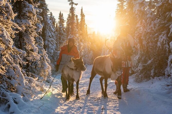 Walking With Reindeer Experience Review - Amenities and Inclusions